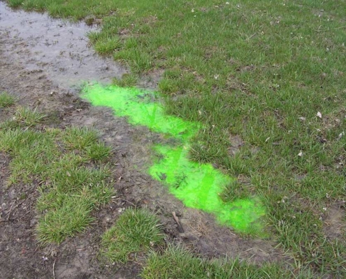 Septic Dye test showing green on standing water on lawn